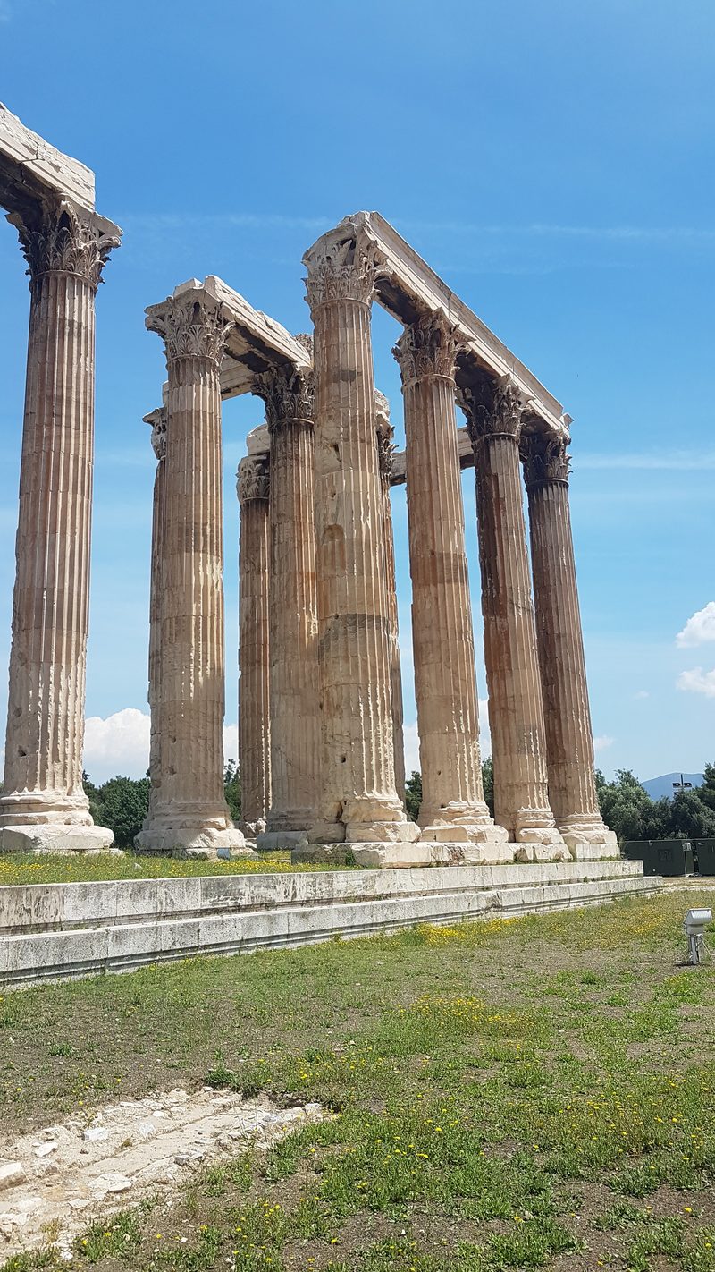 Spring wildflowers growing beside the ancient columns of the Temple of Olympian Zeus