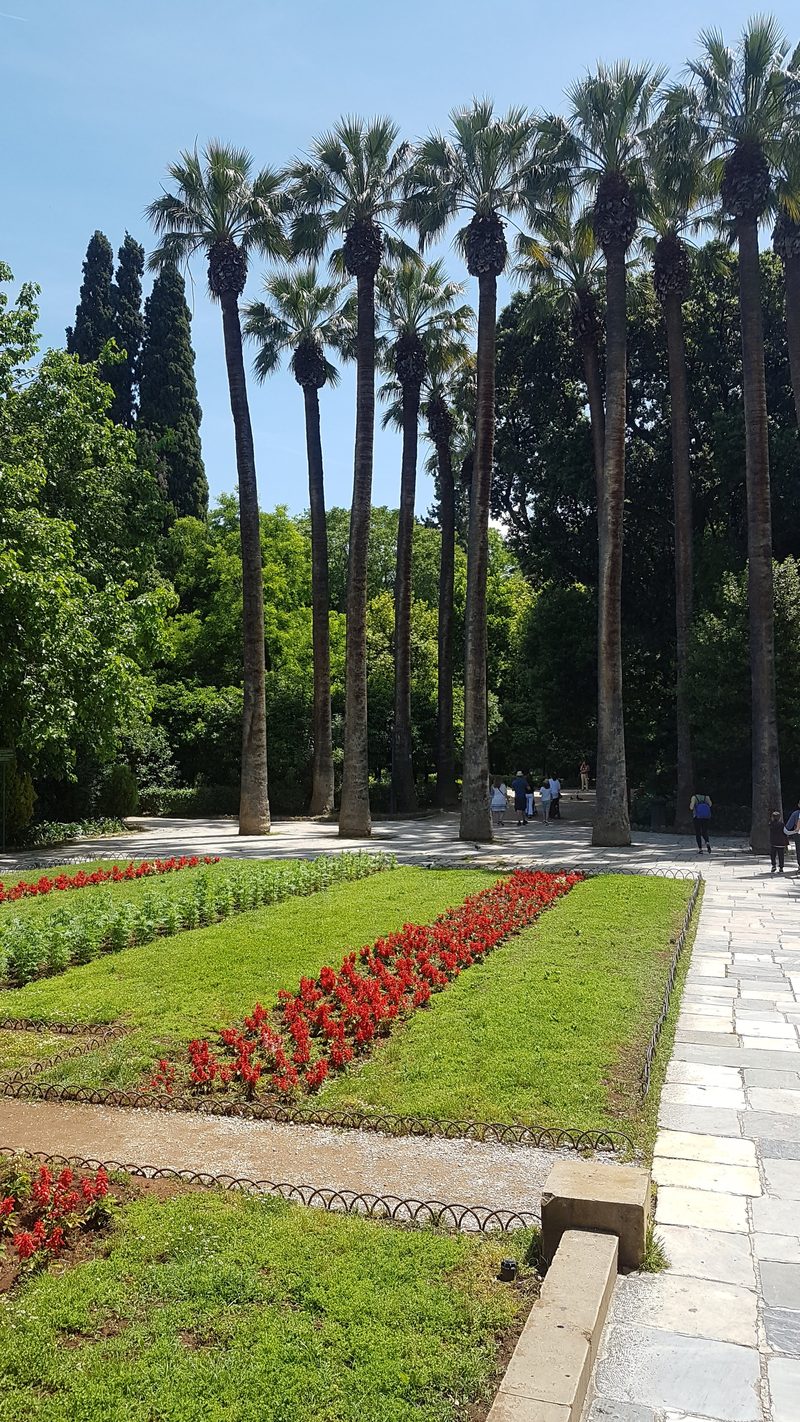 A shaded palm-lined path through the National Garden in central Athens