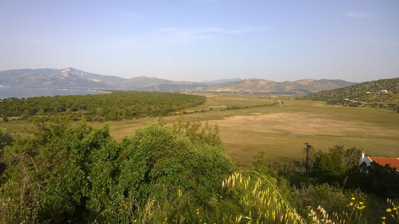 Marathon plain with pine forest and coastal wetlands of Schinias stretching toward the sea