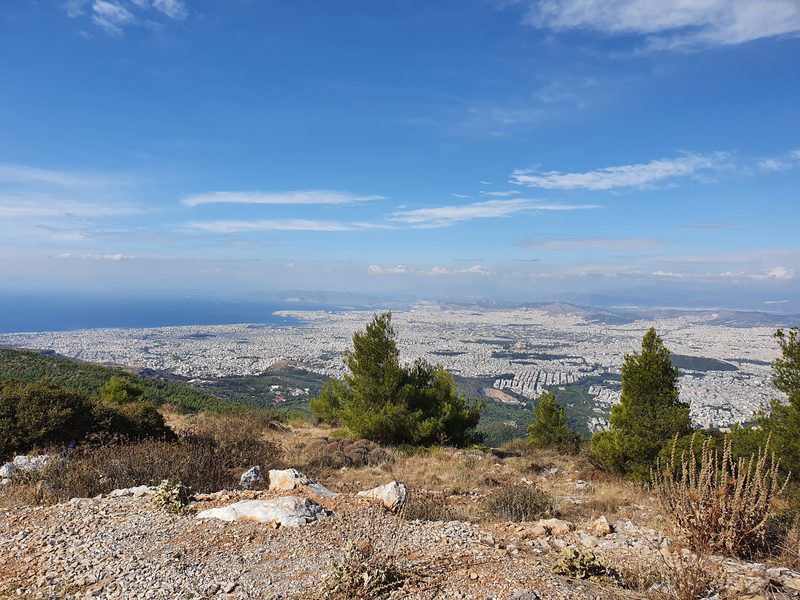 A ridge trail on Mount Hymettus framed by pine trees with Athens and the coastline beyond