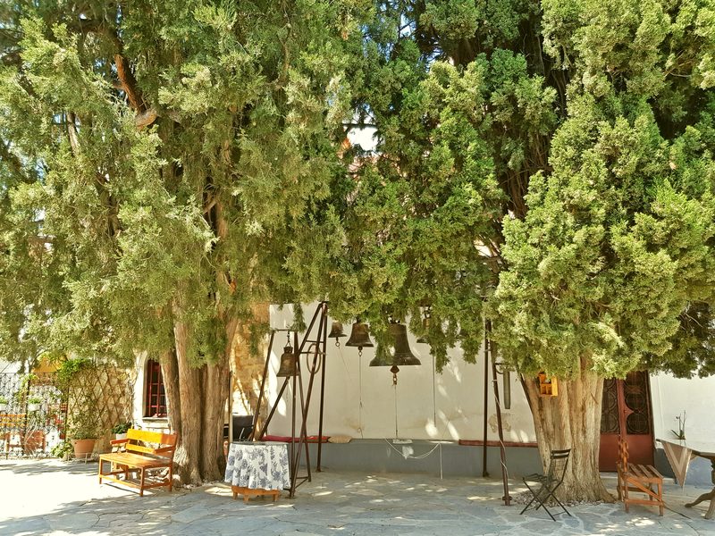 The fortified Faneromeni Monastery on Salamis island surrounded by pine trees, showing the stone walls and entrance of the 17th-century complex