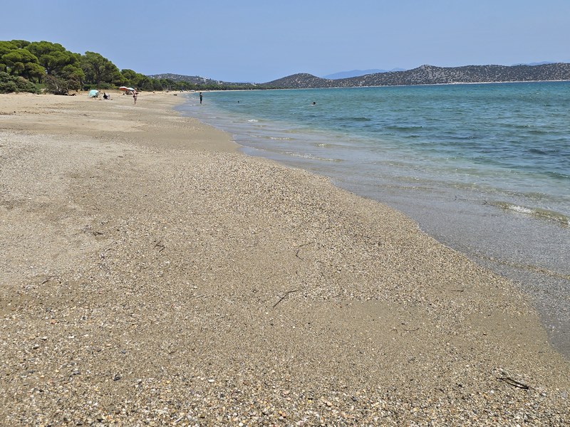 Close view of shell-flecked sand and clear turquoise water curving along Schinias Beach