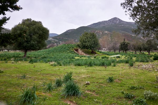 The burial mound of the Plataeans on the Marathon battlefield, Attica