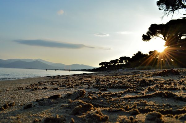 Schinias Beach at golden hour with sandy shore, calm sea, and pine trees silhouetted against a warm sunset sky